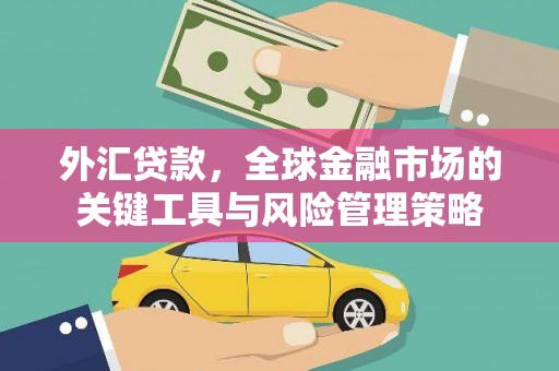 鸡东外汇贷款，全球金融市场的关键工具与风险管理策略
