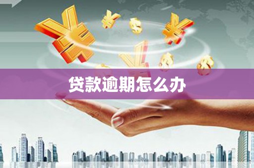 鸡东贷款逾期怎么办