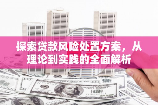 鸡东探索贷款风险处置方案，从理论到实践的全面解析