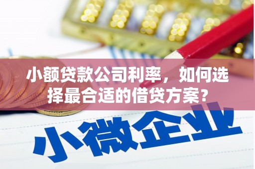 鸡东小额贷款公司利率，如何选择最合适的借贷方案？