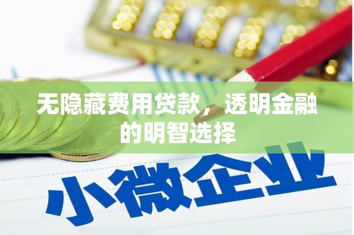 鸡东无隐藏费用贷款，透明金融的明智选择