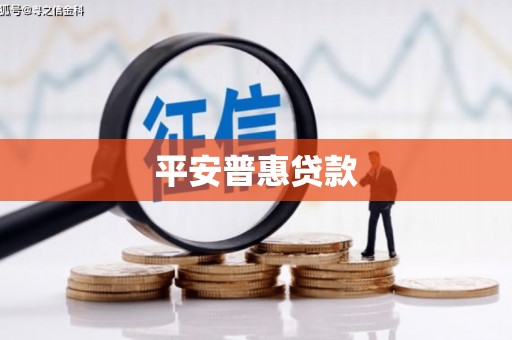 鸡东平安普惠贷款