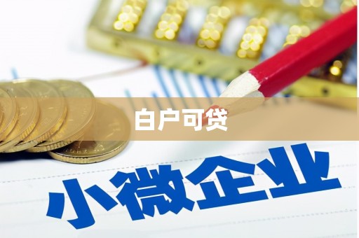 鸡东白户可贷