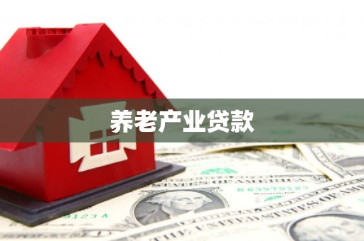 鸡东养老产业贷款