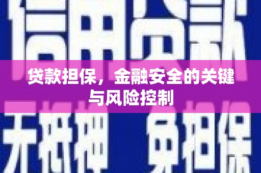 鸡东贷款担保，金融安全的关键与风险控制
