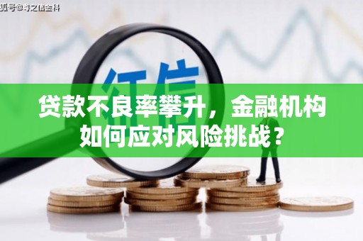 鸡东贷款不良率攀升，金融机构如何应对风险挑战？