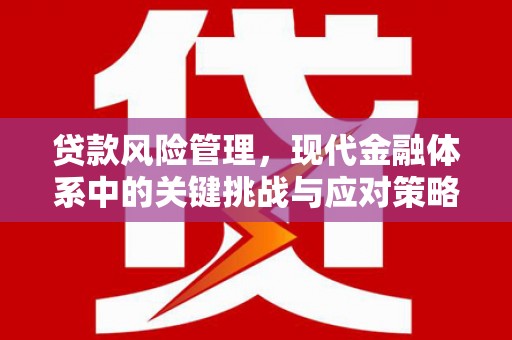 鸡东贷款风险管理，现代金融体系中的关键挑战与应对策略