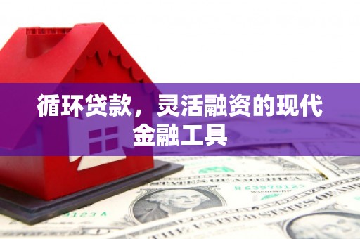 鸡东循环贷款，灵活融资的现代金融工具