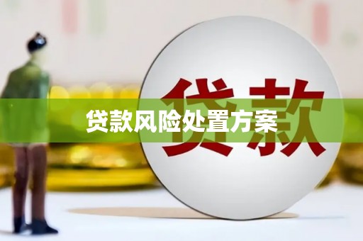 鸡东贷款风险处置方案