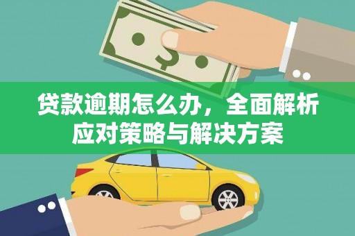 鸡东贷款逾期怎么办，全面解析应对策略与解决方案