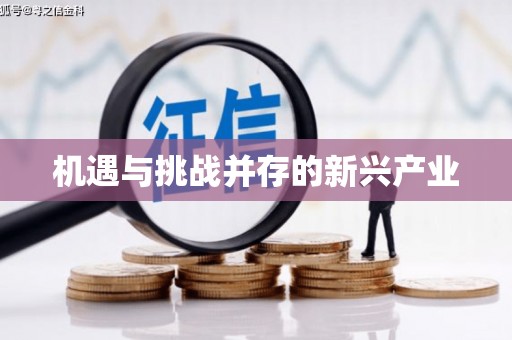 鸡东机遇与挑战并存的新兴产业