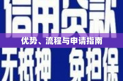 鸡东优势、流程与申请指南