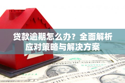 鸡东贷款逾期怎么办？全面解析应对策略与解决方案