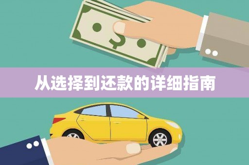 鸡东从选择到还款的详细指南