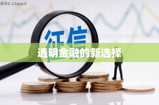 鸡东透明金融的新选择
