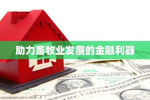 鸡东助力畜牧业发展的金融利器