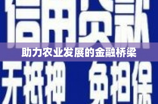 鸡东助力农业发展的金融桥梁