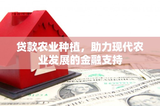 鸡东贷款农业种植，助力现代农业发展的金融支持