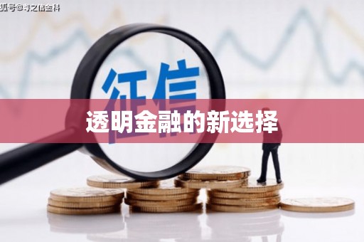 鸡东透明金融的新选择