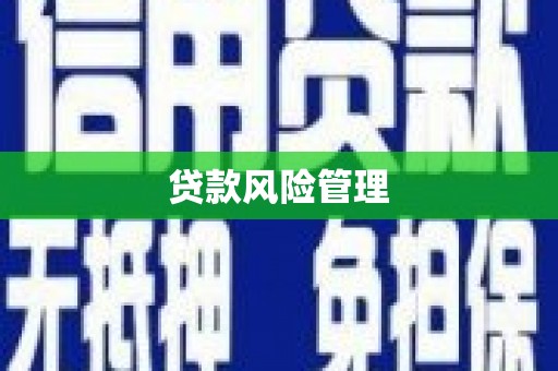 鸡东贷款风险管理